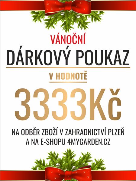Vánoční dárkový poukaz elektronický 3333 Kč