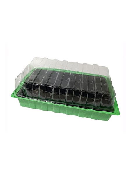minipařeniště se sadbovými deskami 24 polí