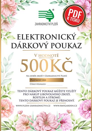 Dárkový poukaz elektronický 500 Kč