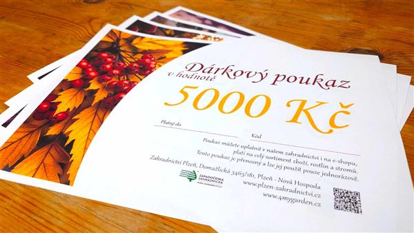 Dárkový poukaz elektronický 5000 Kč