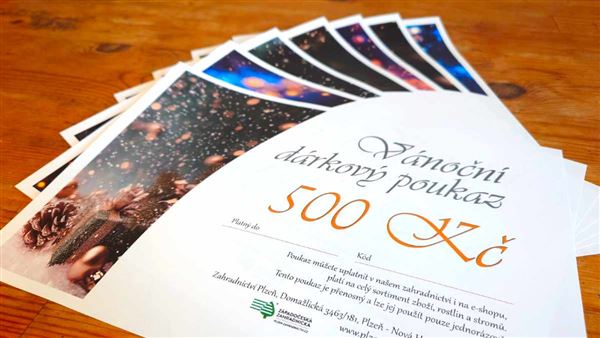 Vánoční dárkový poukaz elektronický 500 Kč