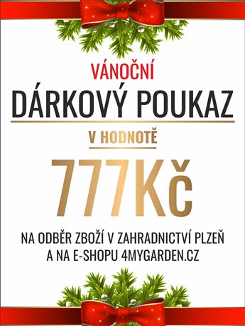 Vánoční dárkový poukaz elektronický 777 Kč