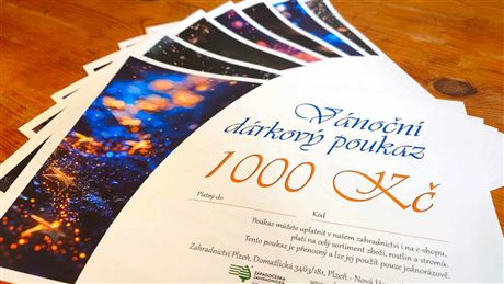 Vánoční dárkový poukaz elektronický 1000 Kč