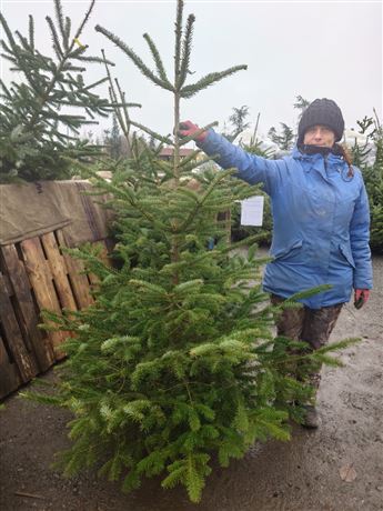 Vánoční stromek S