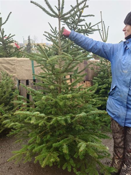 Vánoční stromek S