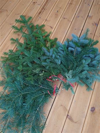 Svazek chvojí - mix