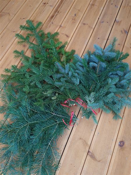 Svazek chvojí - mix