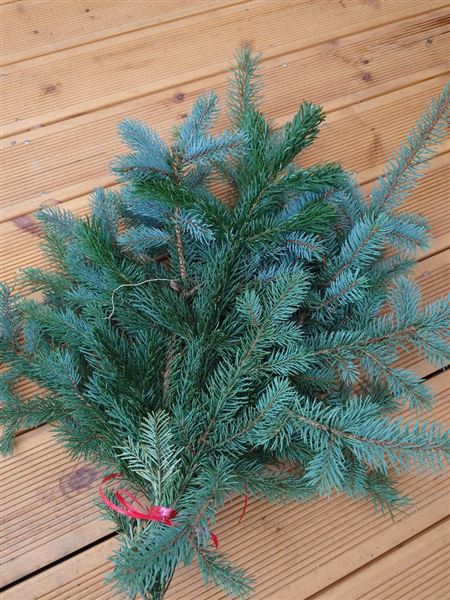 Svazek chvojí z jedle a smrku