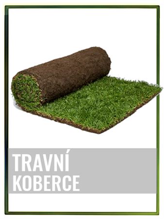 Travní koberce