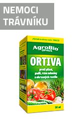 Nemoci trávníku